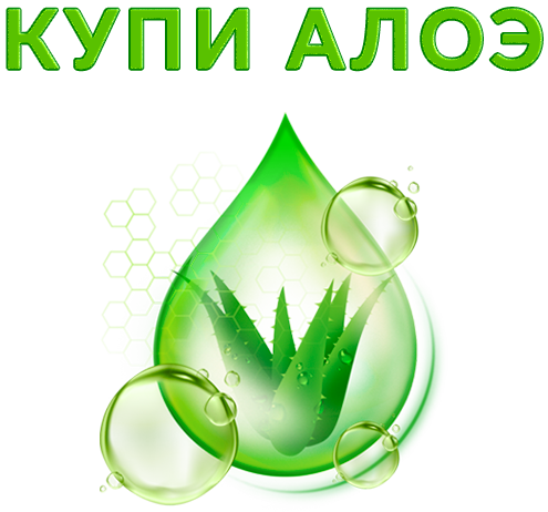 kupi-aloe.ru